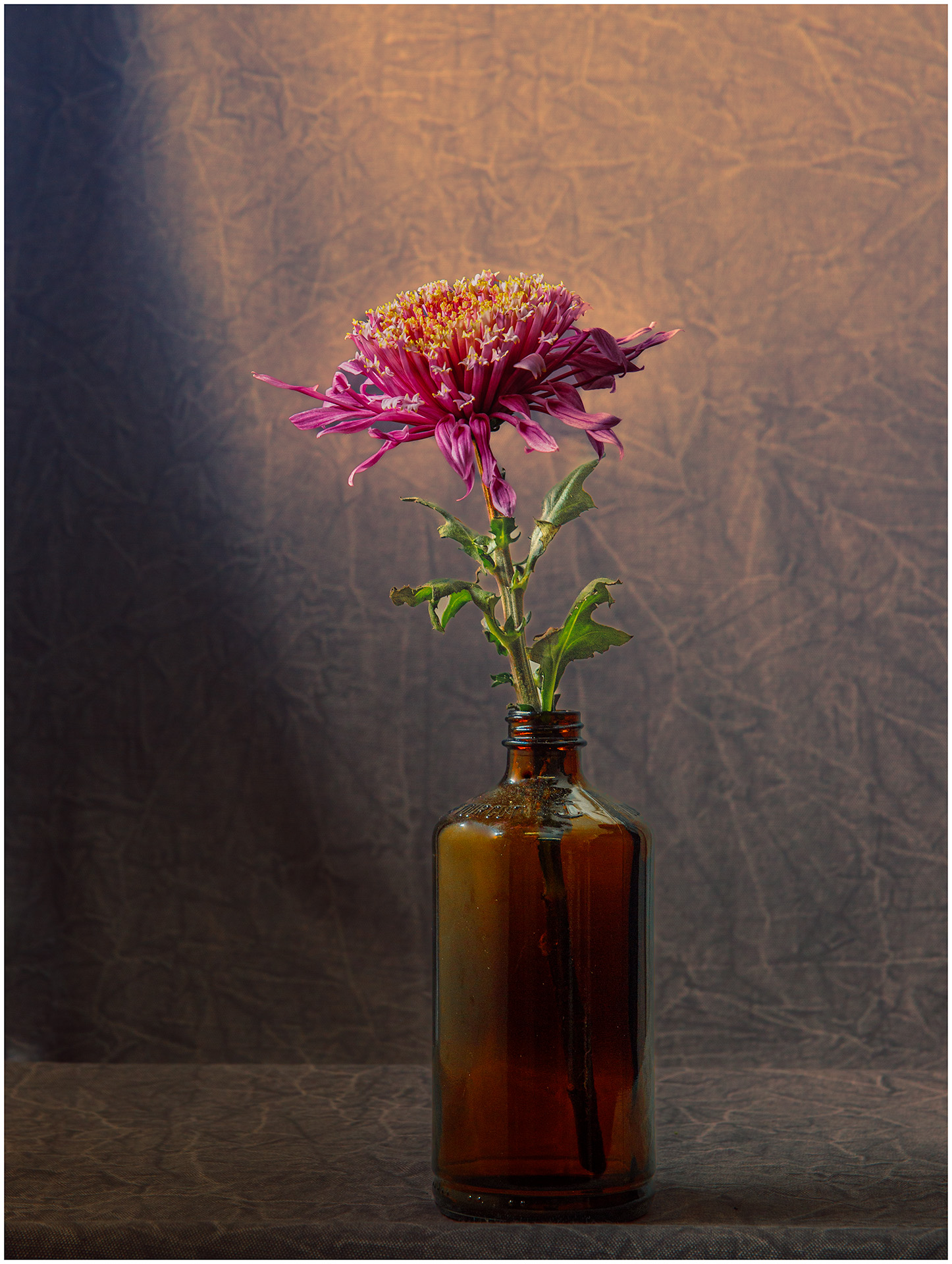 Bathed In Light~Tom Lay