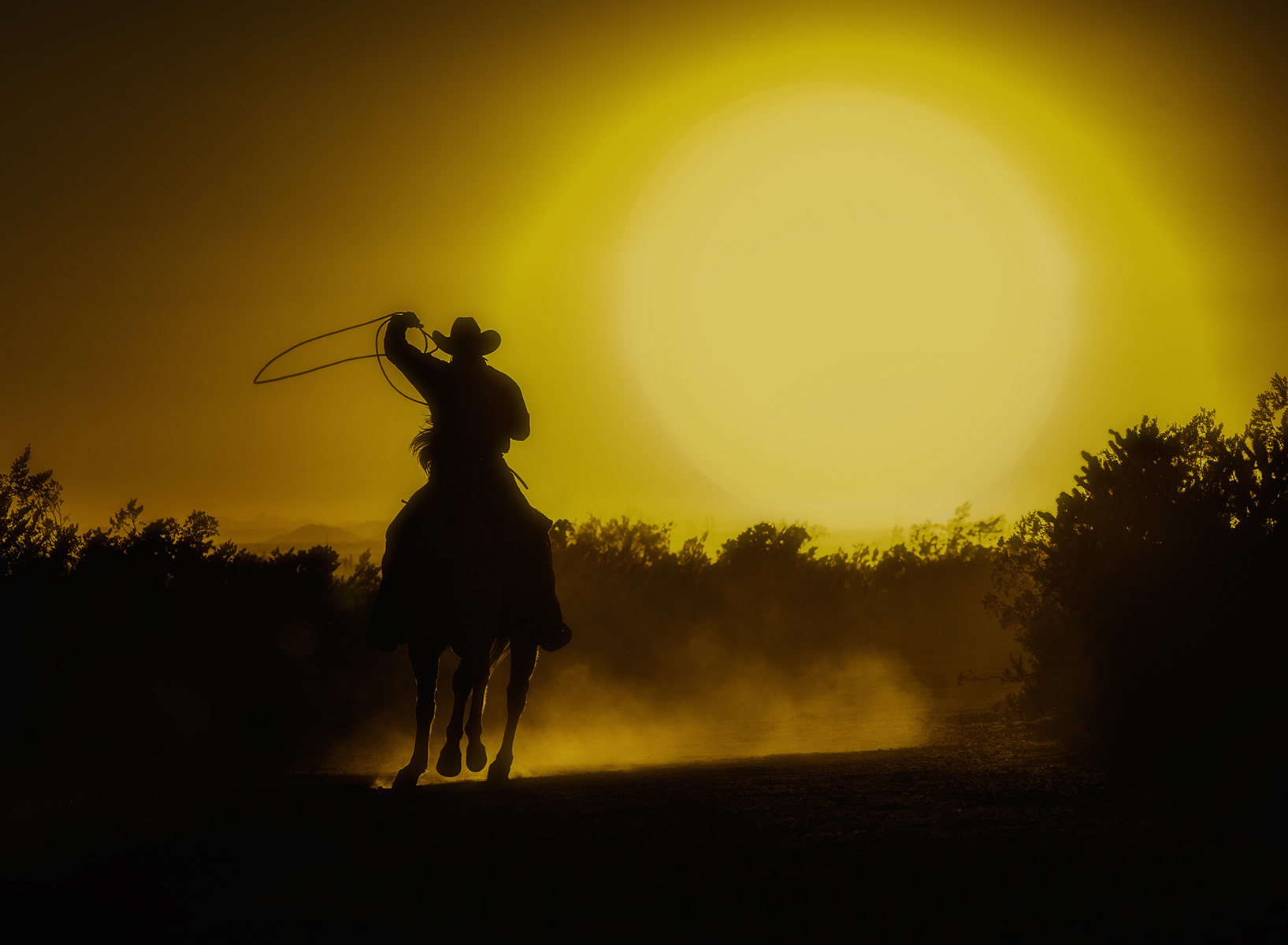 Cowgirl on a Mission - LMedine